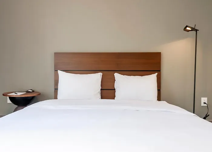 Parque España 21 by Wynwood House México DF